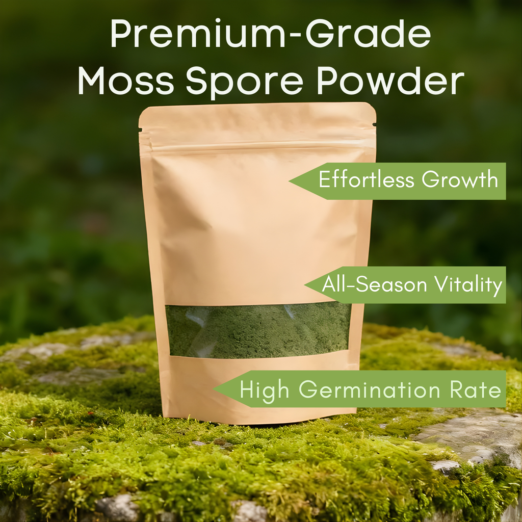 🔥Premium-Grade Moss Spore Powder🔥Free Plant Growth Supplement😍 Par Pack 250g Buy 1 Get 3