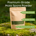 🔥Premium-Grade Moss Spore Powder🔥Free Plant Growth Supplement😍 Par Pack 250g Buy 1 Get 3