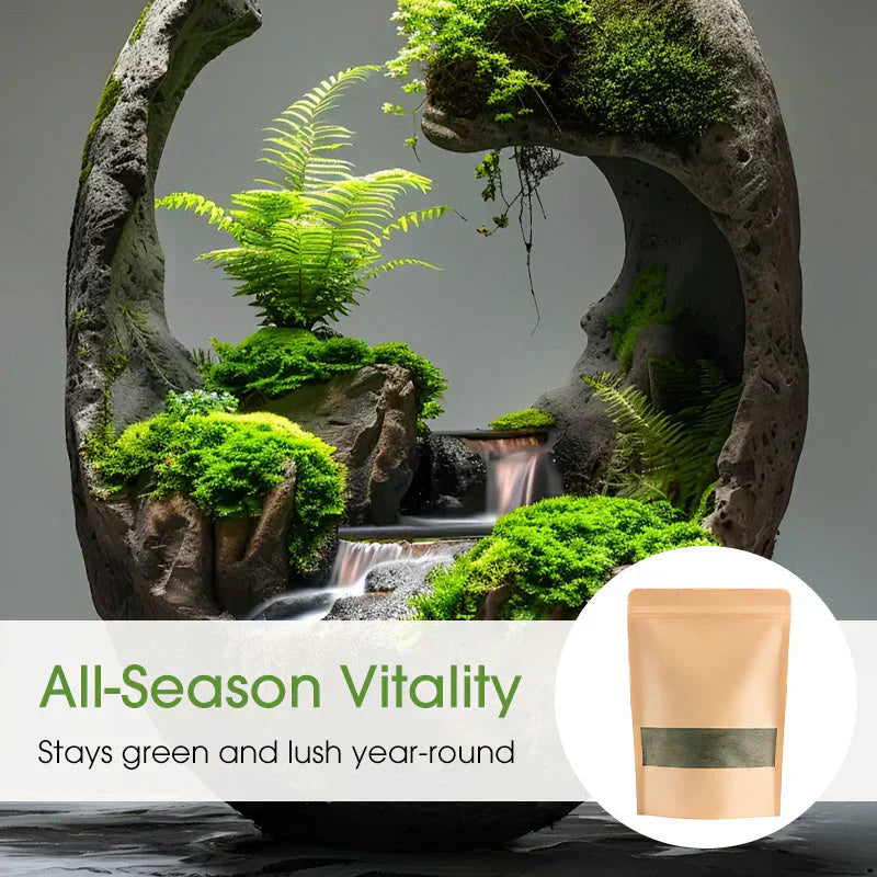🔥Premium-Grade Moss Spore Powder🔥Free Plant Growth Supplement😍 Par Pack 250g Buy 1 Get 3