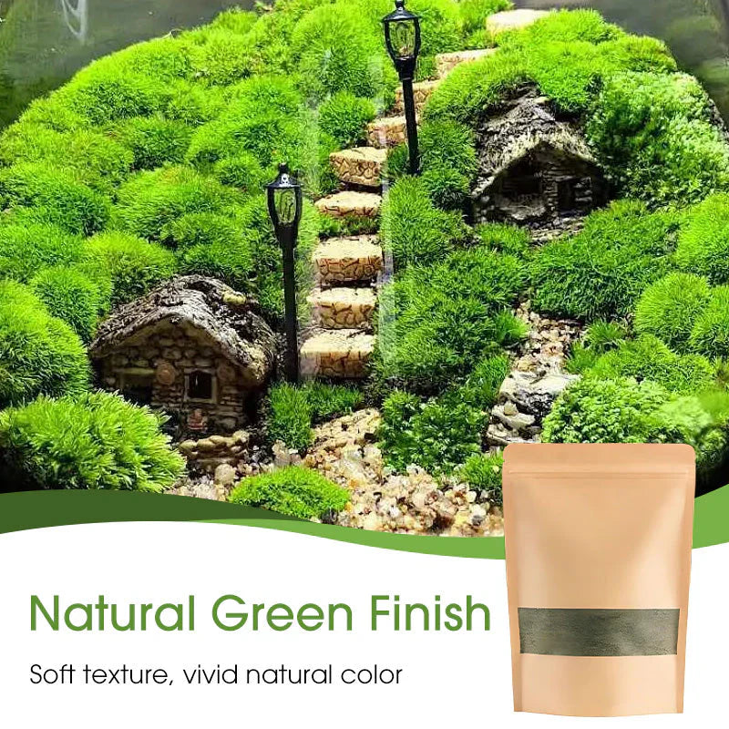 🔥Premium-Grade Moss Spore Powder🔥Free Plant Growth Supplement😍 Par Pack 250g Buy 1 Get 3