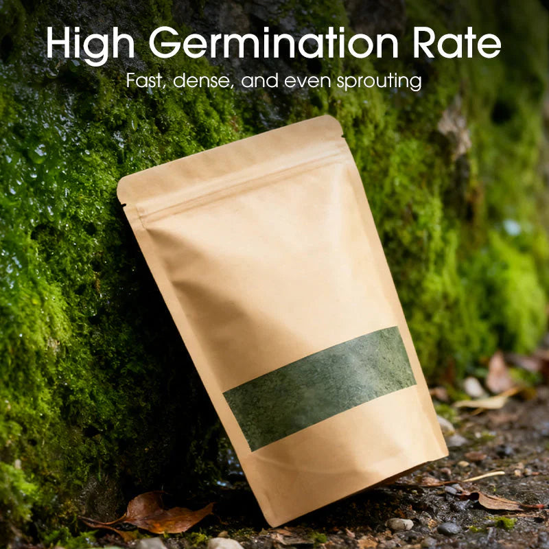🔥Premium-Grade Moss Spore Powder🔥Free Plant Growth Supplement😍 Par Pack 250g Buy 1 Get 3